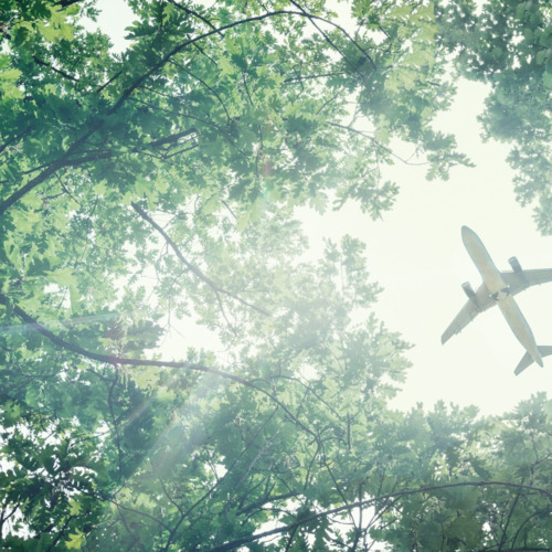 Ökologische Verantwortung