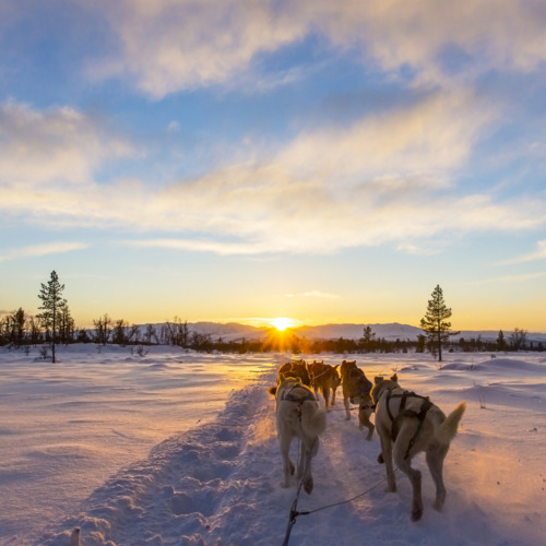 Individual&shy;reisen