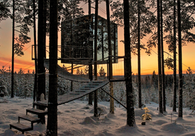 Tree Hotel
