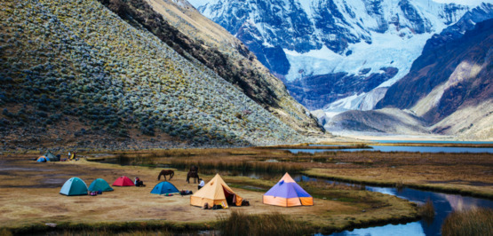 Desto mehr, desto besser?