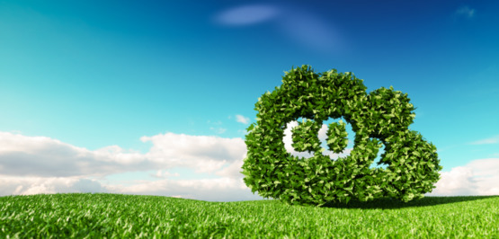 CO2-Rechner: Transparenz endlich auch für Privatjets