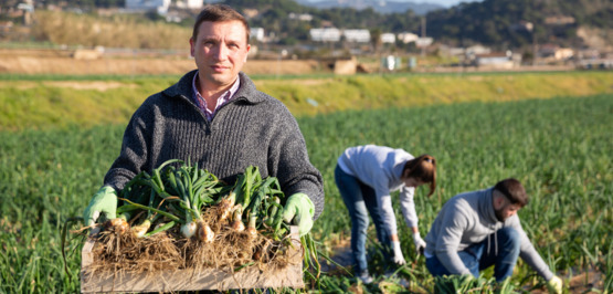 Coronavirus: So sicherte Pro Sky Landwirten die Erntehelfer