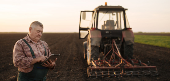 Erntehelfer dürfen einreisen: Pro Sky bereitet Flüge vor