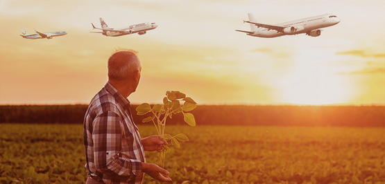 Erntehelferflüge: Neues Bündnis steigt zum Marktführer auf