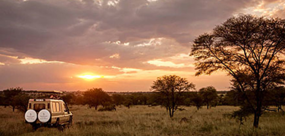 News: Destinations-Tipp: Die Wildnis der Serengeti mit viel Komfort