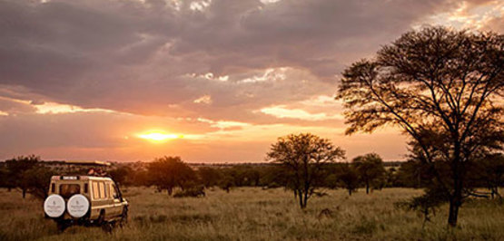 Destinations-Tipp: Die Wildnis der Serengeti mit viel Komfort