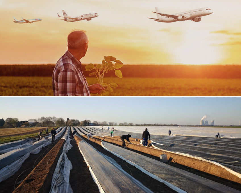 PRO SKY OFFERS FLIGHTS FOR HARVEST WORKERS