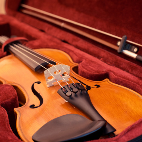 Transport of instruments & equipment