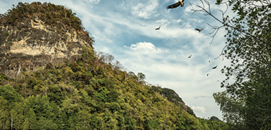 Voyage Découverte à Langkawi : Bien plus que du sable fin et du soleil !