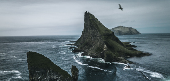 Destination tendance Îles Féroé : Plongeon d’une falaise et macareux