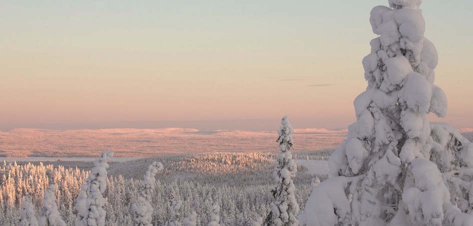 News: Tout feu tout MICE, même en hiver
