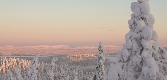 Tout feu tout MICE, même en hiver
